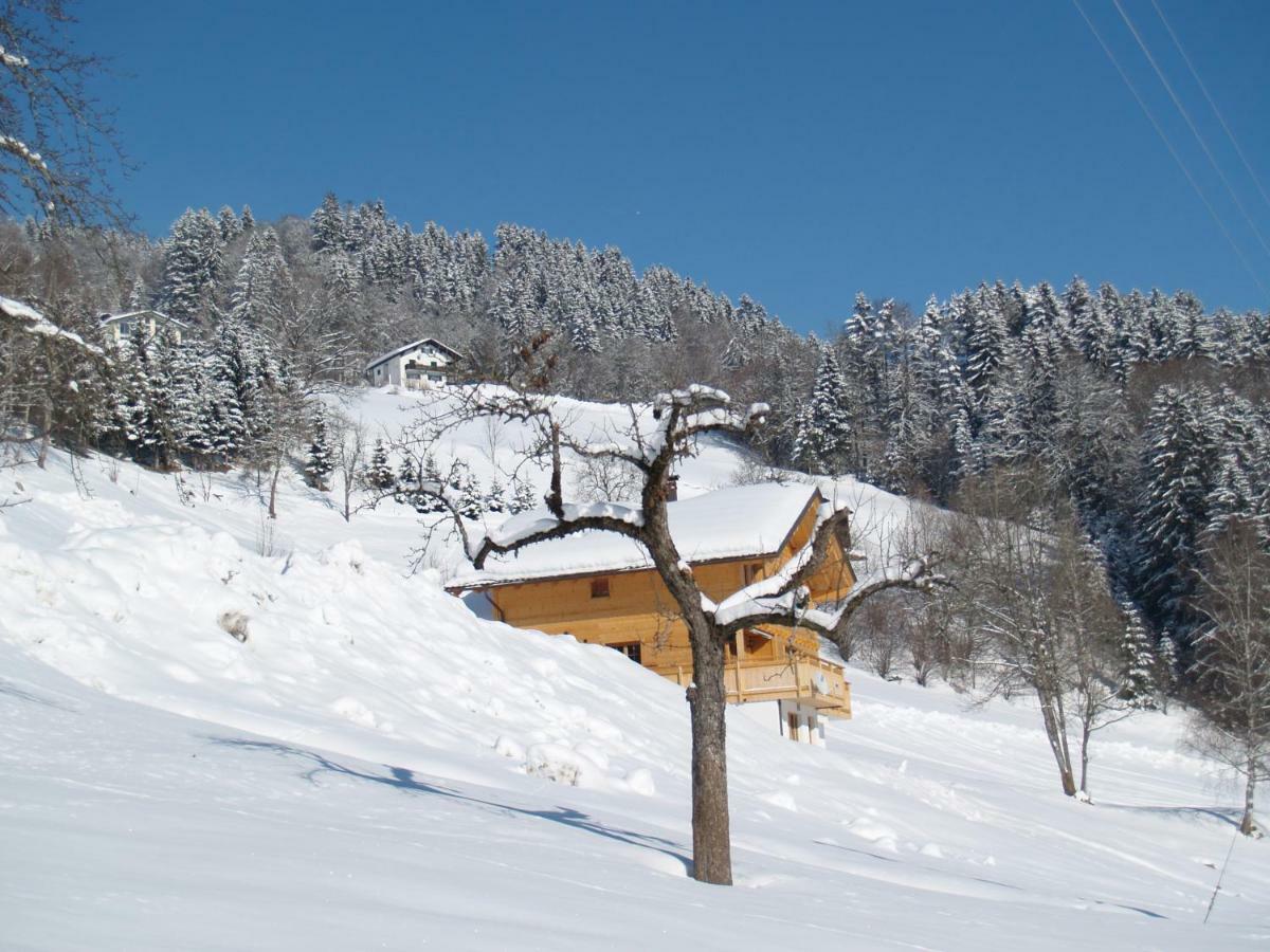 Haus Gruener Wald Διαμέρισμα Bartholomäberg Εξωτερικό φωτογραφία